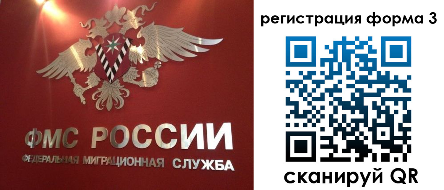 прописка гарантия в Тольятти